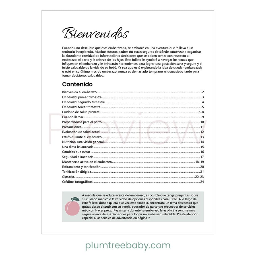 Healthy Pregnancy Booklet-Book-Plumtree Baby