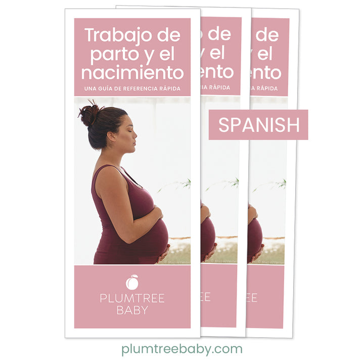 Labor and Birth Quick Reference Guides - Pack of 50-Handout-Plumtree Baby