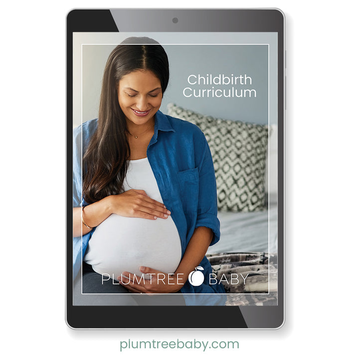 Childbirth Curriculum-Instructor Resource-Plumtree Baby