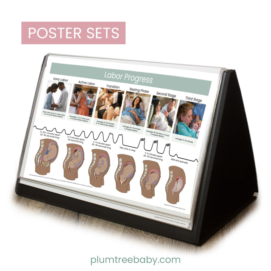 Desktop Poster Display-Poster-Plumtree Baby