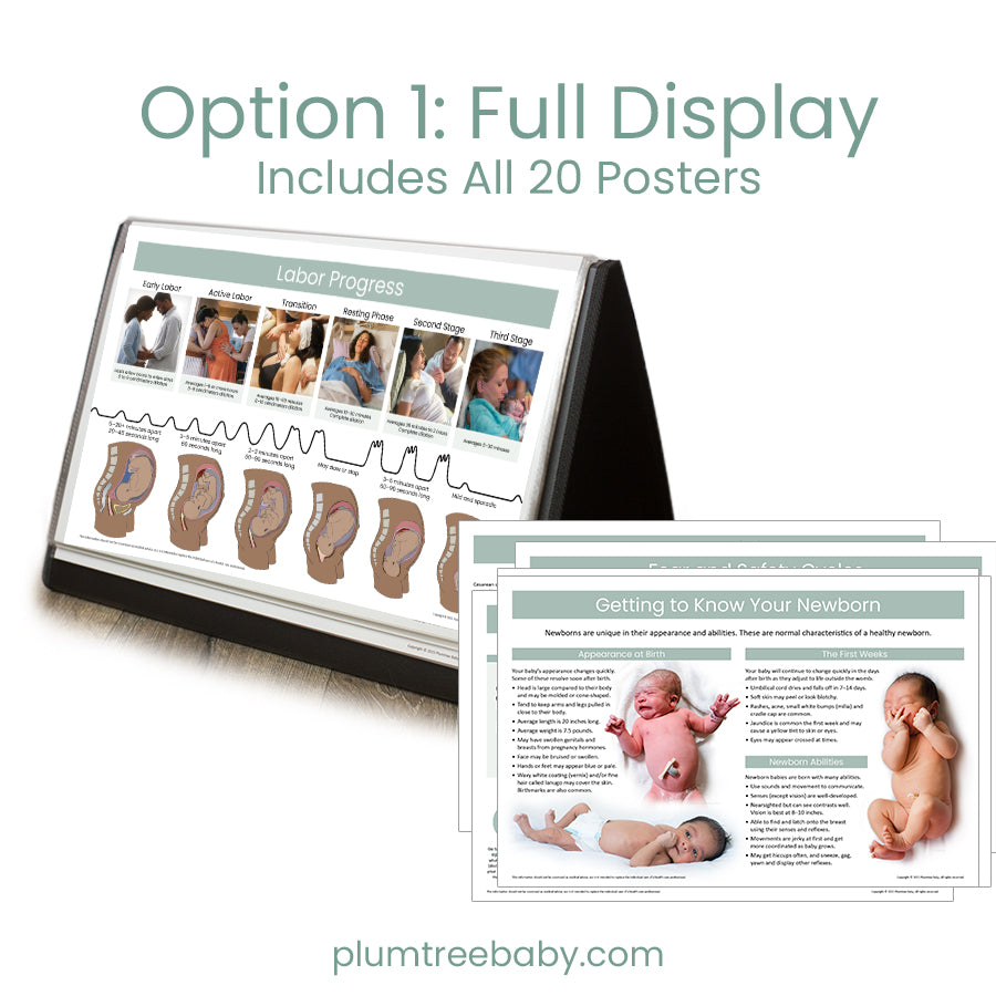 Desktop Poster Display-Poster-Plumtree Baby