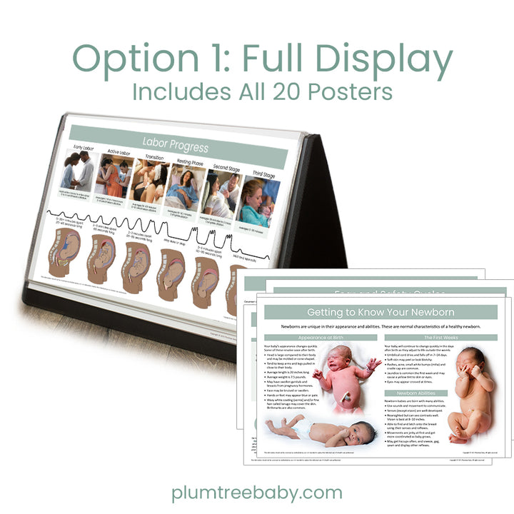 Desktop Poster Display-Poster-Plumtree Baby