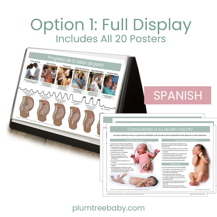 Desktop Poster Display-Poster-Plumtree Baby