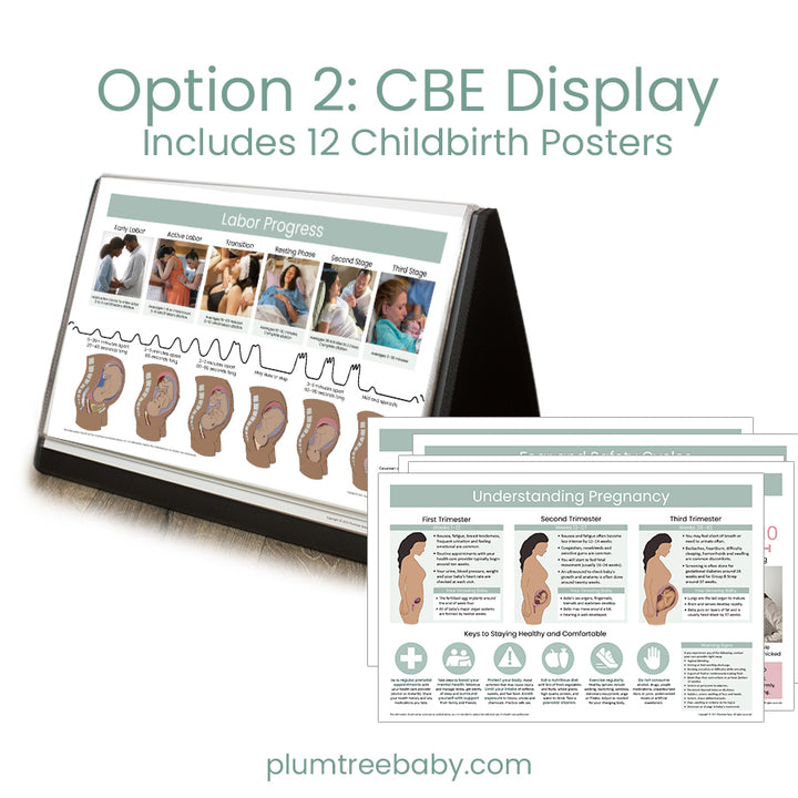 Desktop Poster Display-Poster-Plumtree Baby