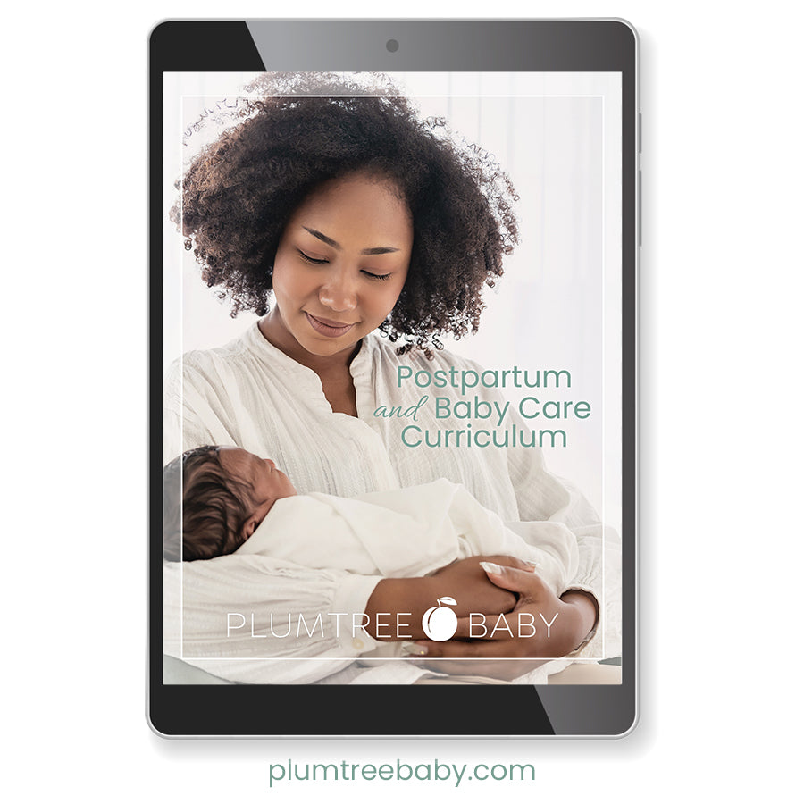 Postpartum and Baby Care Curriculum-Instructor Resource-Plumtree Baby