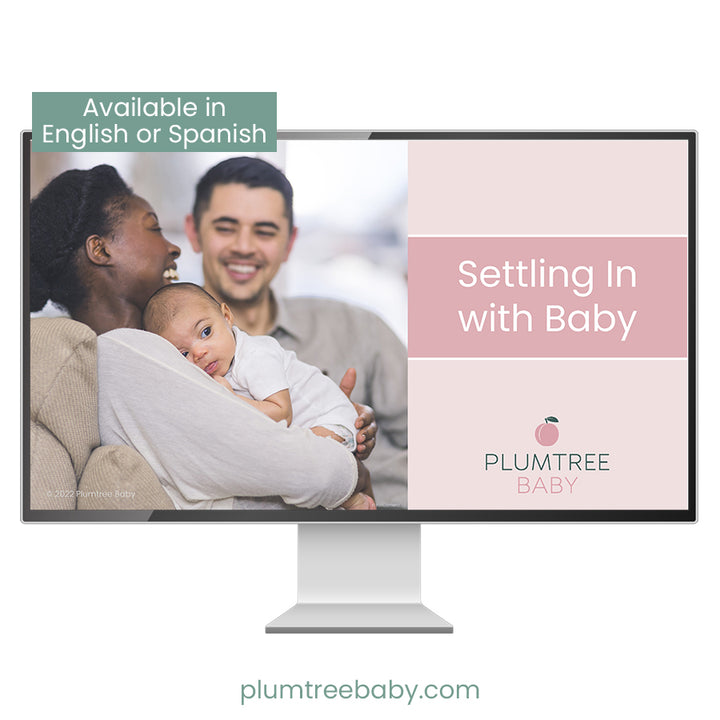 Settling In with Baby PowerPoint-PowerPoint-Plumtree Baby