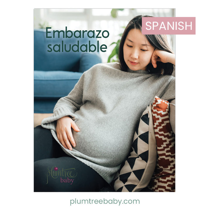 Spanish Healthy Pregnancy Booklet - Clearance-Book-Plumtree Baby