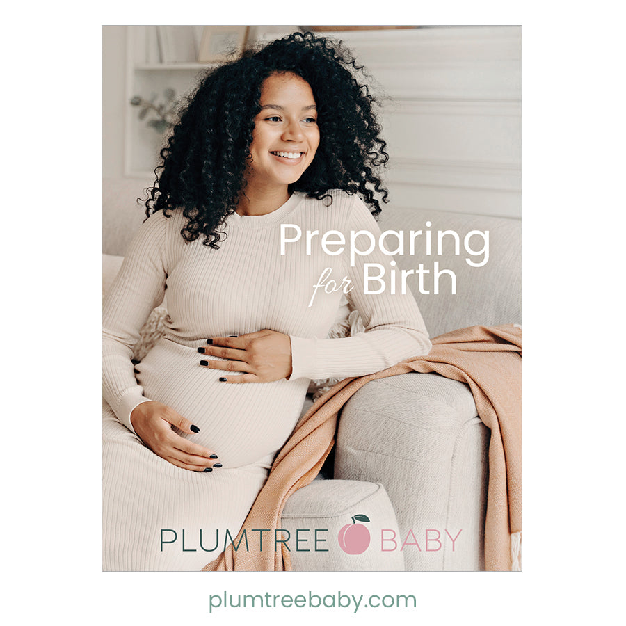 Labor and Birth Packets-Packet-Plumtree Baby