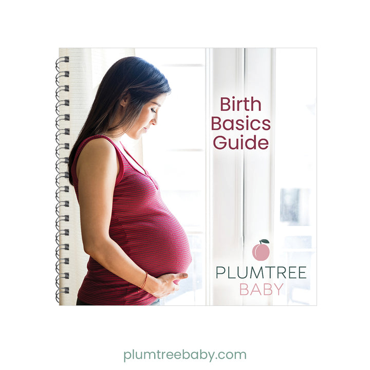 Birth Basics Pocket Guide-Book-Plumtree Baby