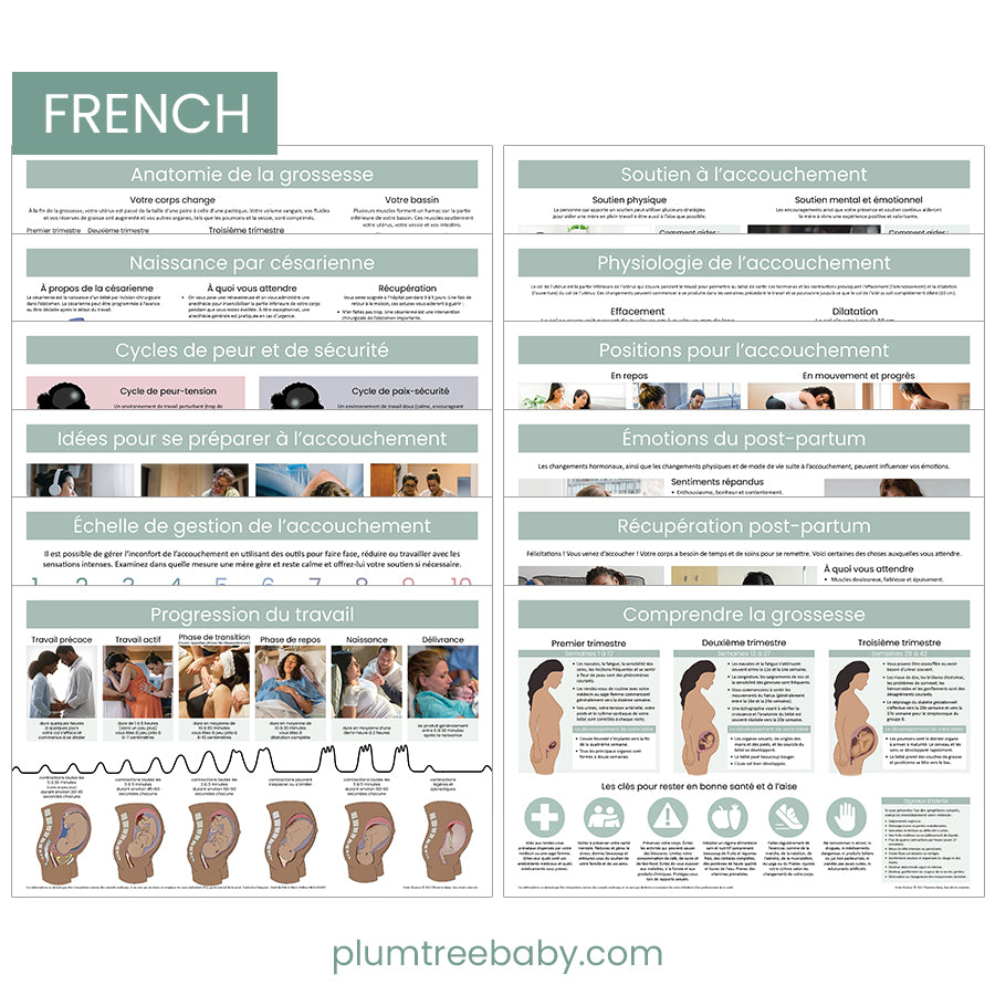 Childbirth Education Poster Set-Poster-Plumtree Baby