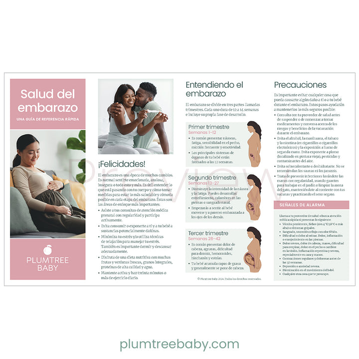 Pregnancy Health Quick Reference Guides - Pack of 50-Handout-Plumtree Baby