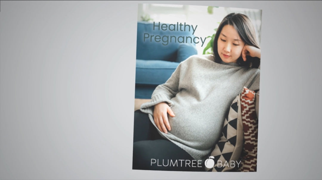 Healthy Pregnancy Booklet