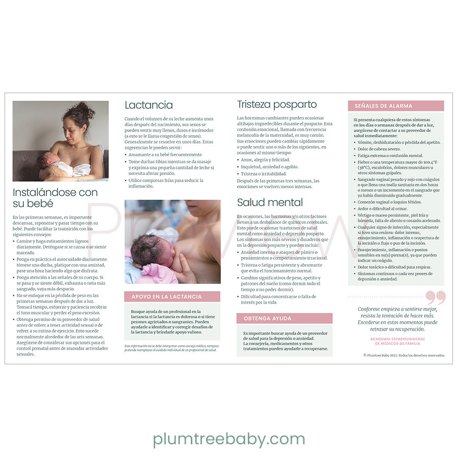 Postpartum Quick Reference Guides - Pack of 50-Handout-Plumtree Baby