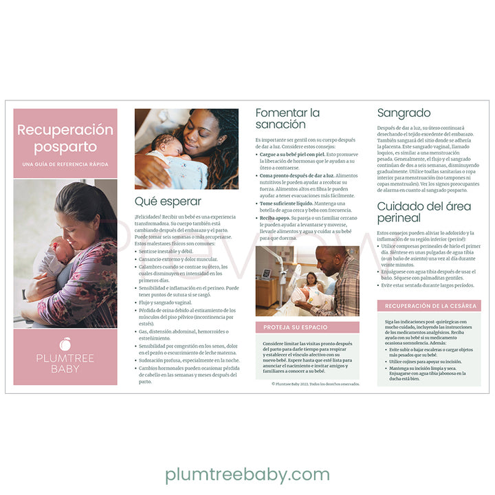 Postpartum Quick Reference Guides - Pack of 50-Handout-Plumtree Baby