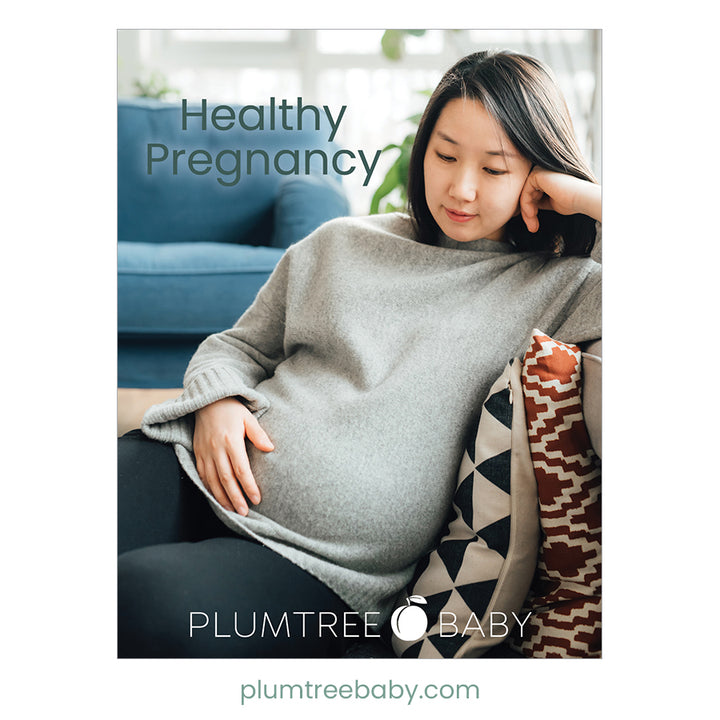 Healthy Pregnancy Booklet-Book-Plumtree Baby