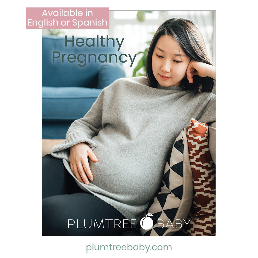 Healthy Pregnancy Booklet-Book-Plumtree Baby