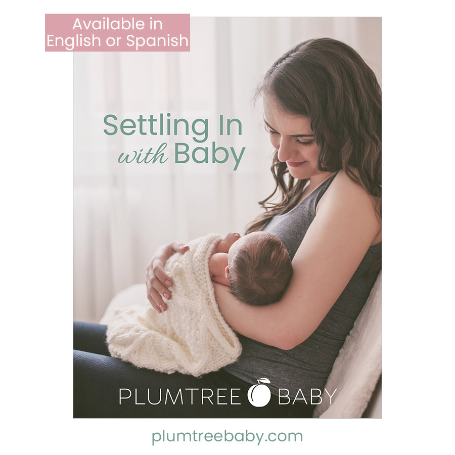 Settling In with Baby Book-Book-Plumtree Baby