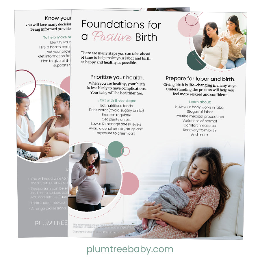 Labor and Birth Packets-Packet-Plumtree Baby