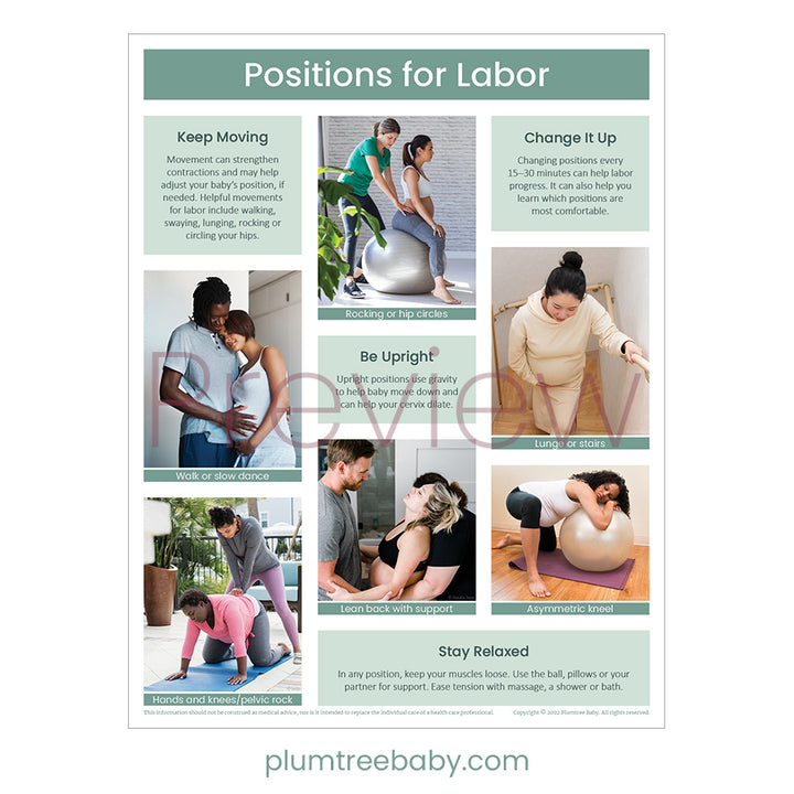 Positions for Labor Handouts - Pack of 50-Handout-Plumtree Baby