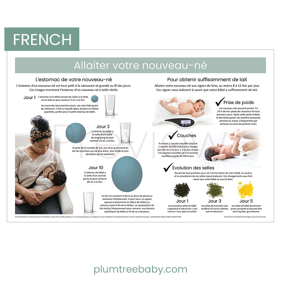 Breastfeeding Your Newborn Poster-Poster-Plumtree Baby