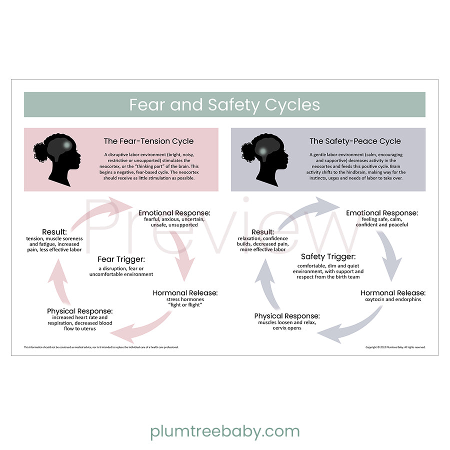 Fear and Safety Cycles Poster-Poster-Plumtree Baby