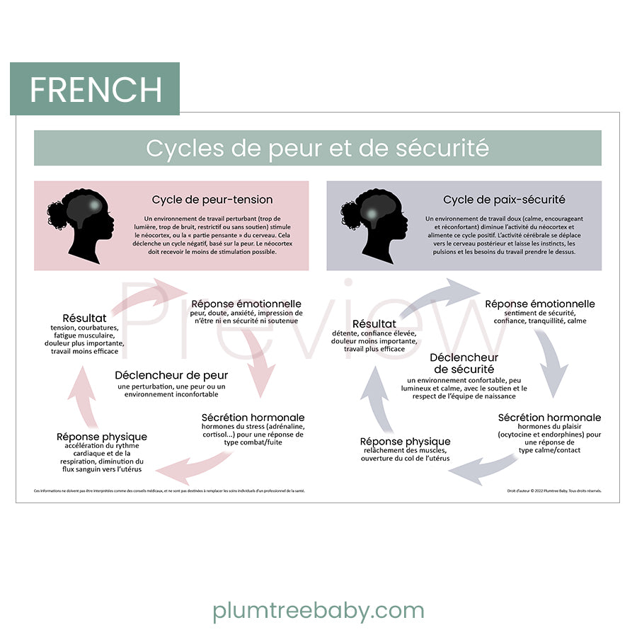 Fear and Safety Cycles Poster-Poster-Plumtree Baby