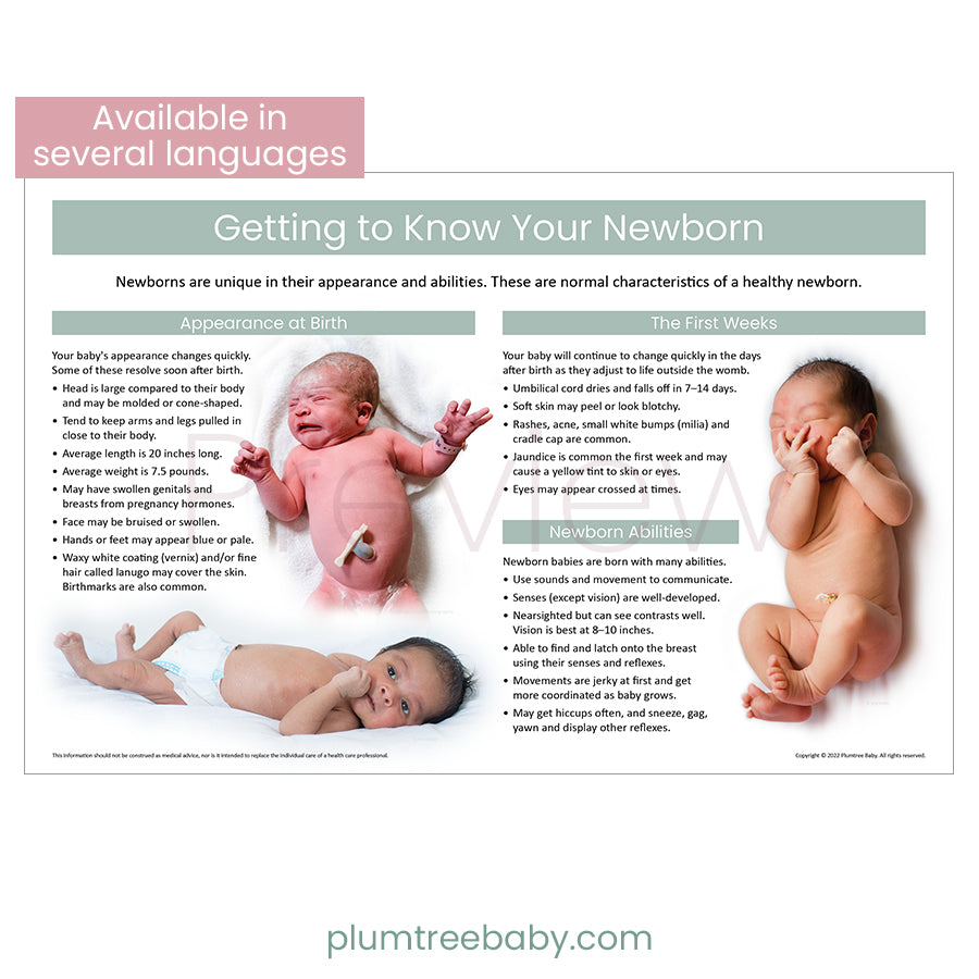 Getting to Know Your Newborn Poster-Poster-Plumtree Baby