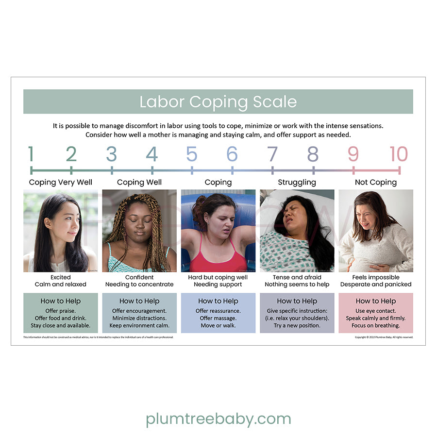 Labor Coping Scale Poster-Poster-Plumtree Baby