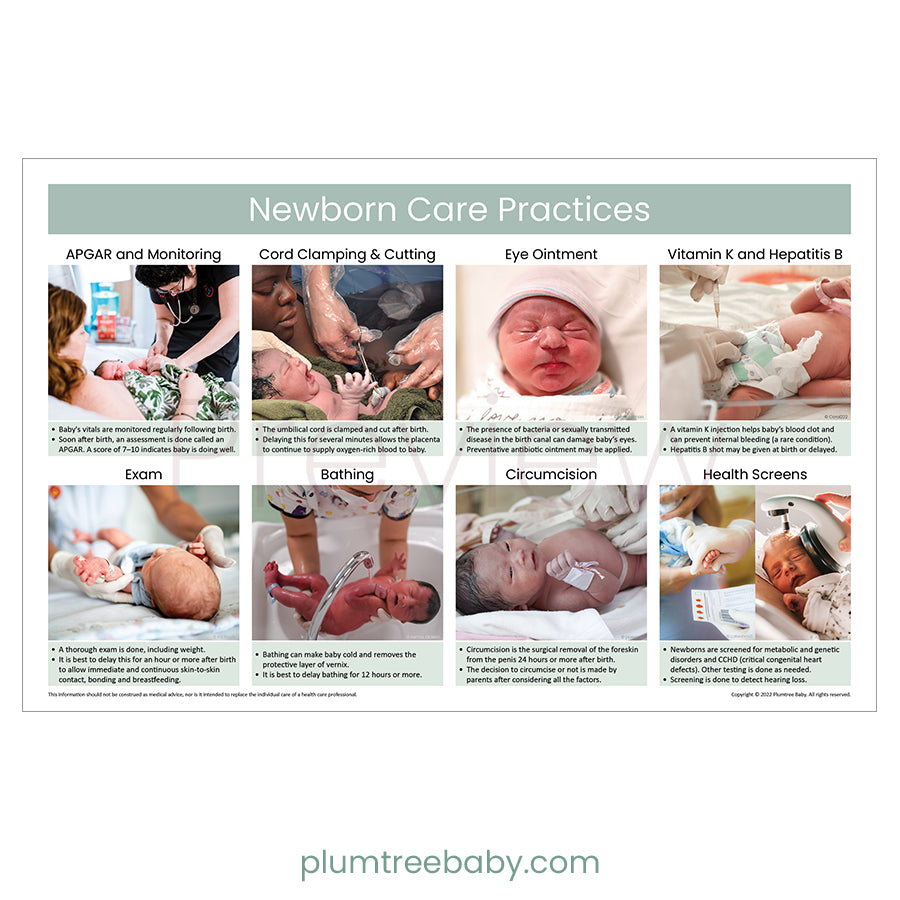 Newborn Care Practices Poster-Poster-Plumtree Baby