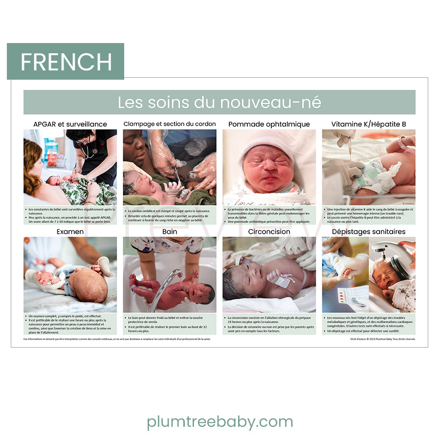 Newborn Care Practices Poster-Poster-Plumtree Baby