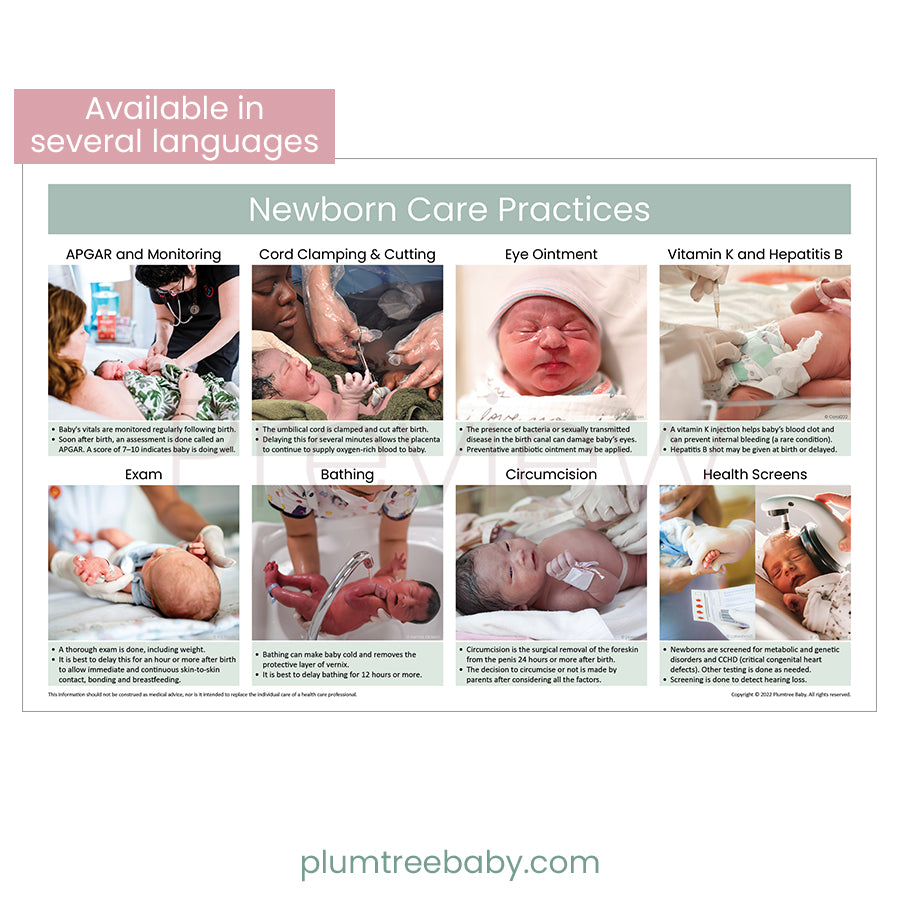 Newborn Care Practices Poster-Poster-Plumtree Baby