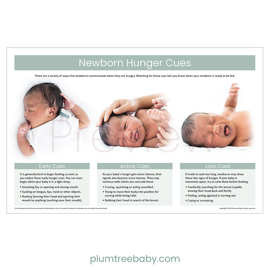 Newborn Hunger Cues Poster-Poster-Plumtree Baby