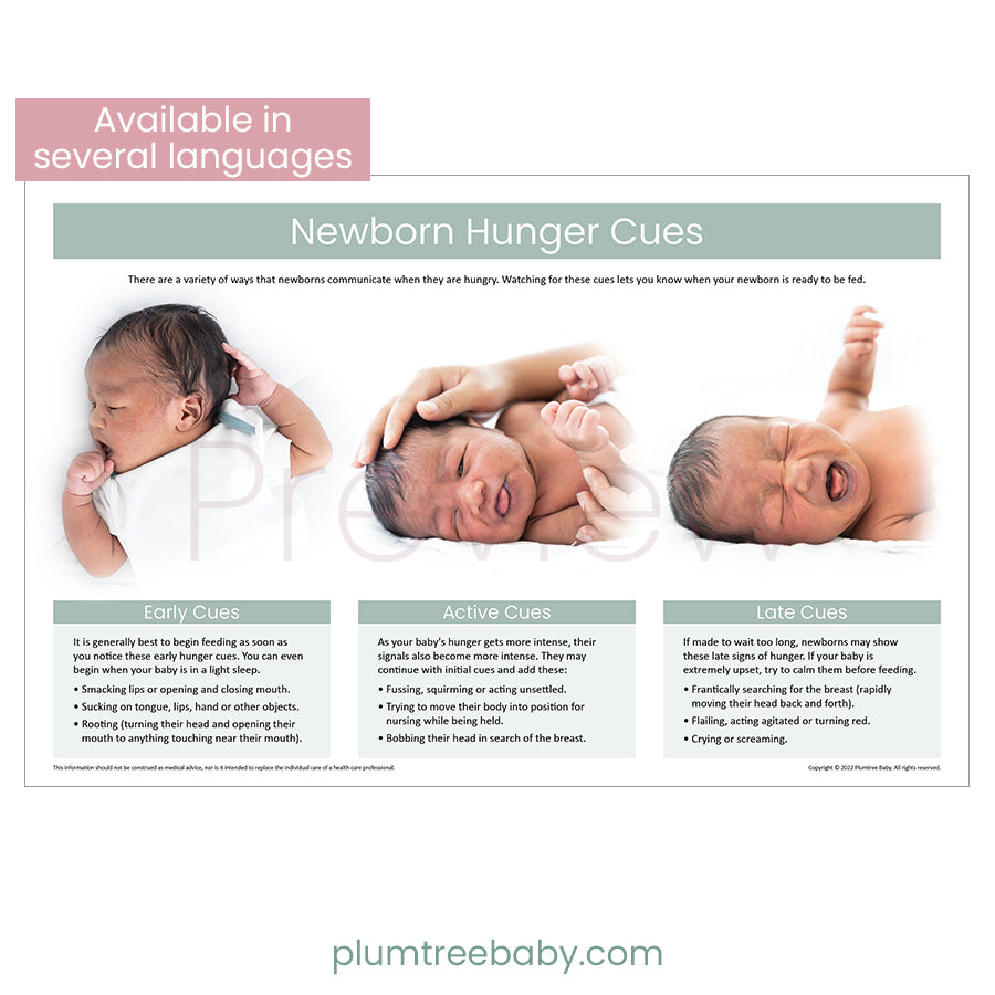 Newborn Hunger Cues Poster-Poster-Plumtree Baby