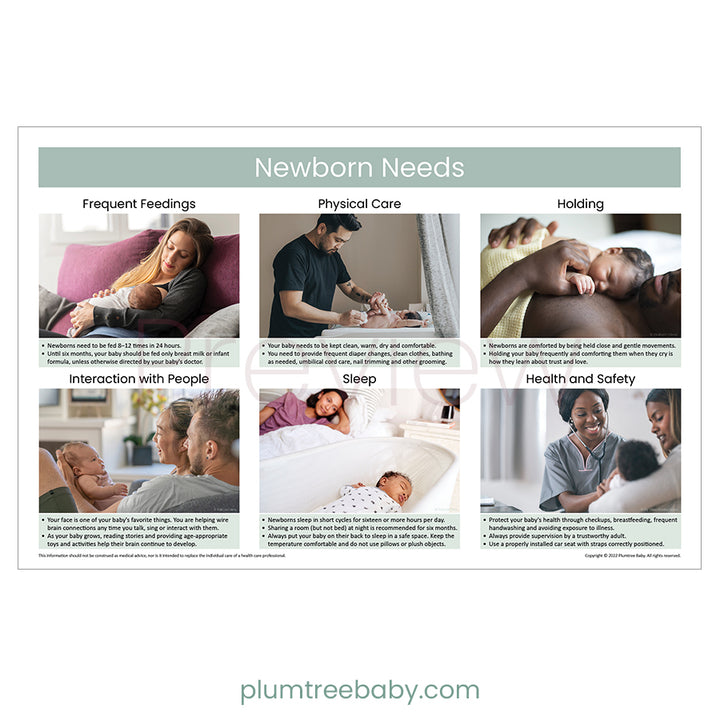 Newborn Needs Poster-Poster-Plumtree Baby