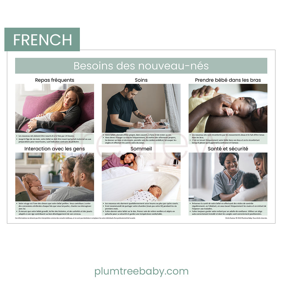 Newborn Needs Poster-Poster-Plumtree Baby