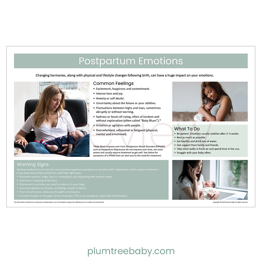 Postpartum Emotions Poster-Poster-Plumtree Baby