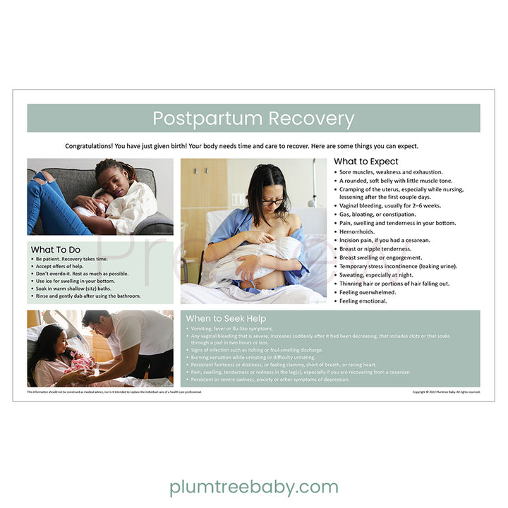 Postpartum Recovery Poster-Poster-Plumtree Baby