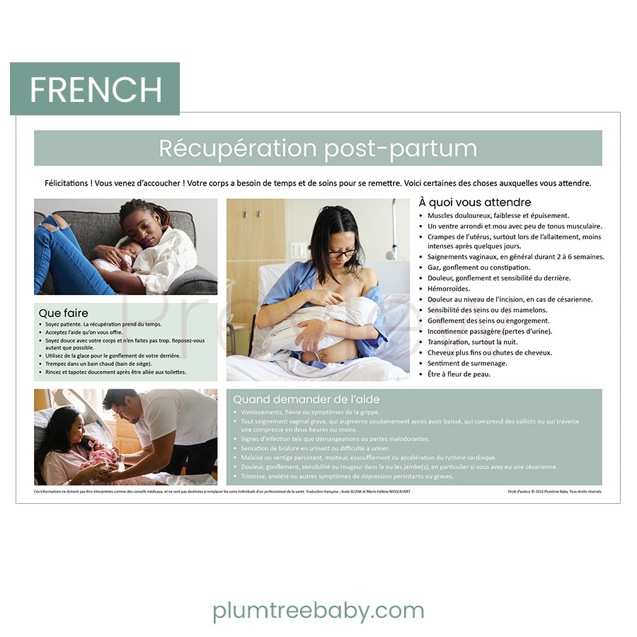 Postpartum Recovery Poster-Poster-Plumtree Baby