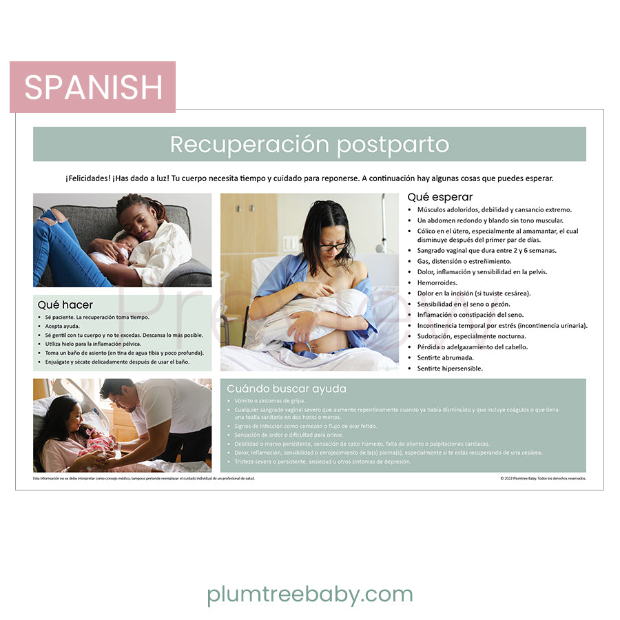 Postpartum Recovery Poster-Poster-Plumtree Baby