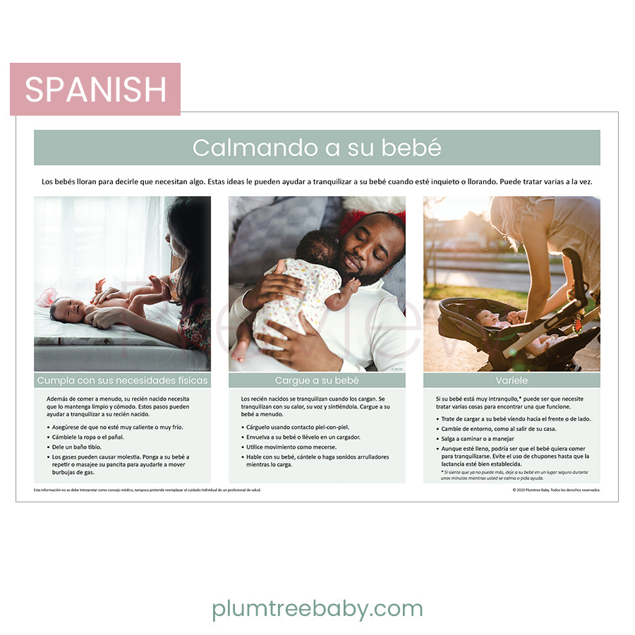 Soothing Your Baby Poster-Poster-Plumtree Baby