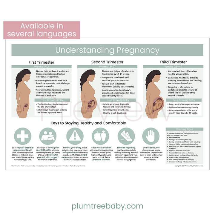 Understanding Pregnancy Poster-Poster-Plumtree Baby