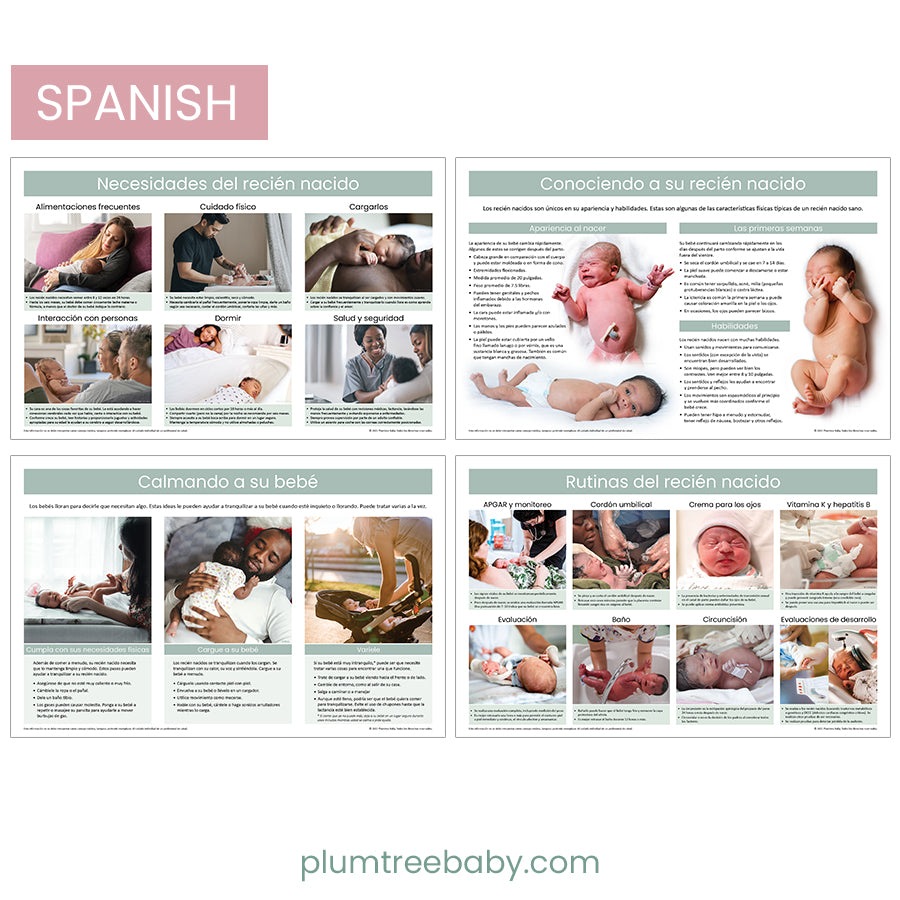 Newborn Poster Set-Poster-Plumtree Baby